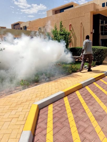 Jumeira Pest Control Service