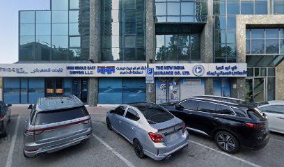 Vision Middleeast LLC