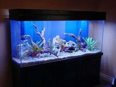 Fish Aquarium making and maintenance L.L.C