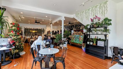 Fiddle Fig Cafe & Coffee