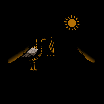 Seagull & Raven Coffee