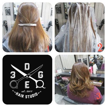 3dge hair studio