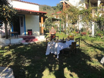 Elbasan Backpackers Hostel