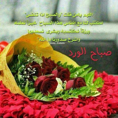 EL SAFA