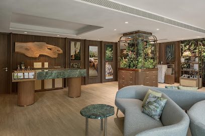 Banyan Tree Spa Company Cover