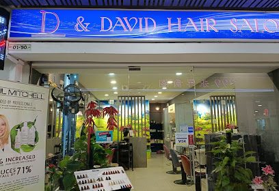 D & David Hair Salon Company Cover