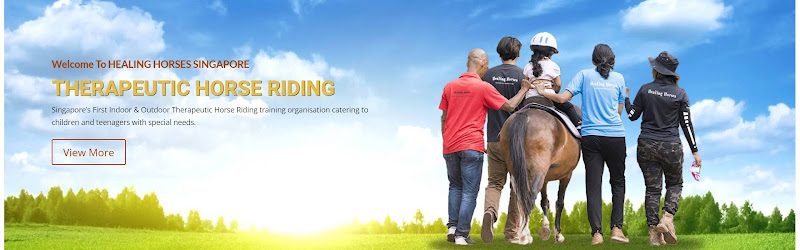 Healing Horses Singapore