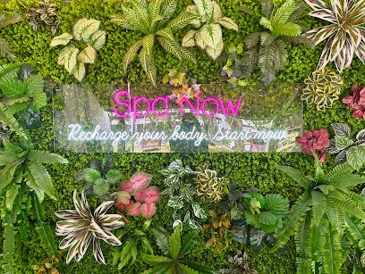 SPA NOW Company Cover