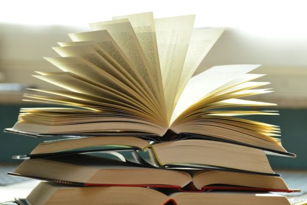 Shree Raghavendra Arts and Science College